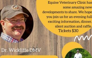Equine Medicine