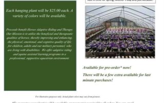 Hanging Basket Sale!
